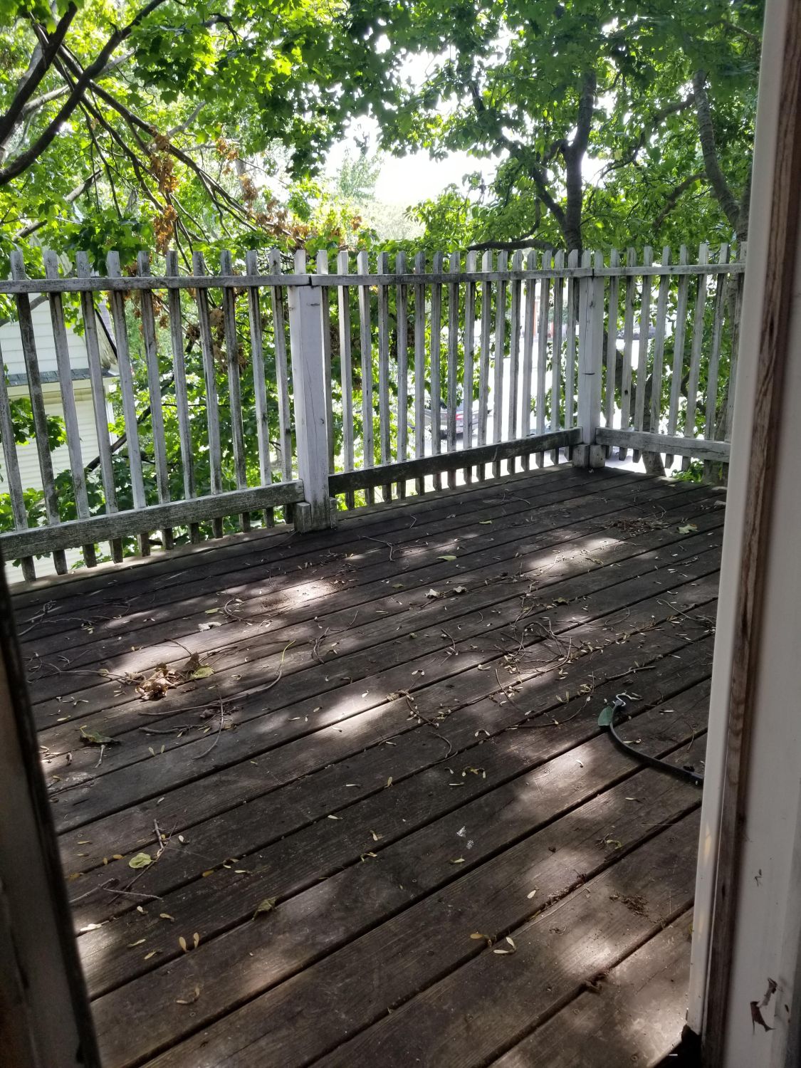 20180809_155009.jpg
