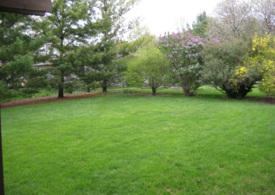 2804-Southwood-Backyard-400x284