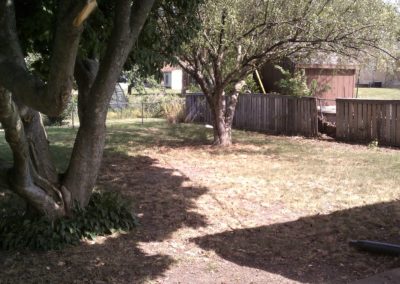 304-S.-Mattis-Backyard-400x284