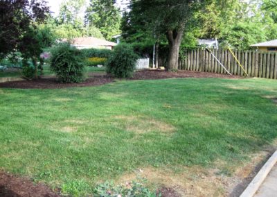 1507-W.-John-Backyard-Too-large-to-compress-400x284