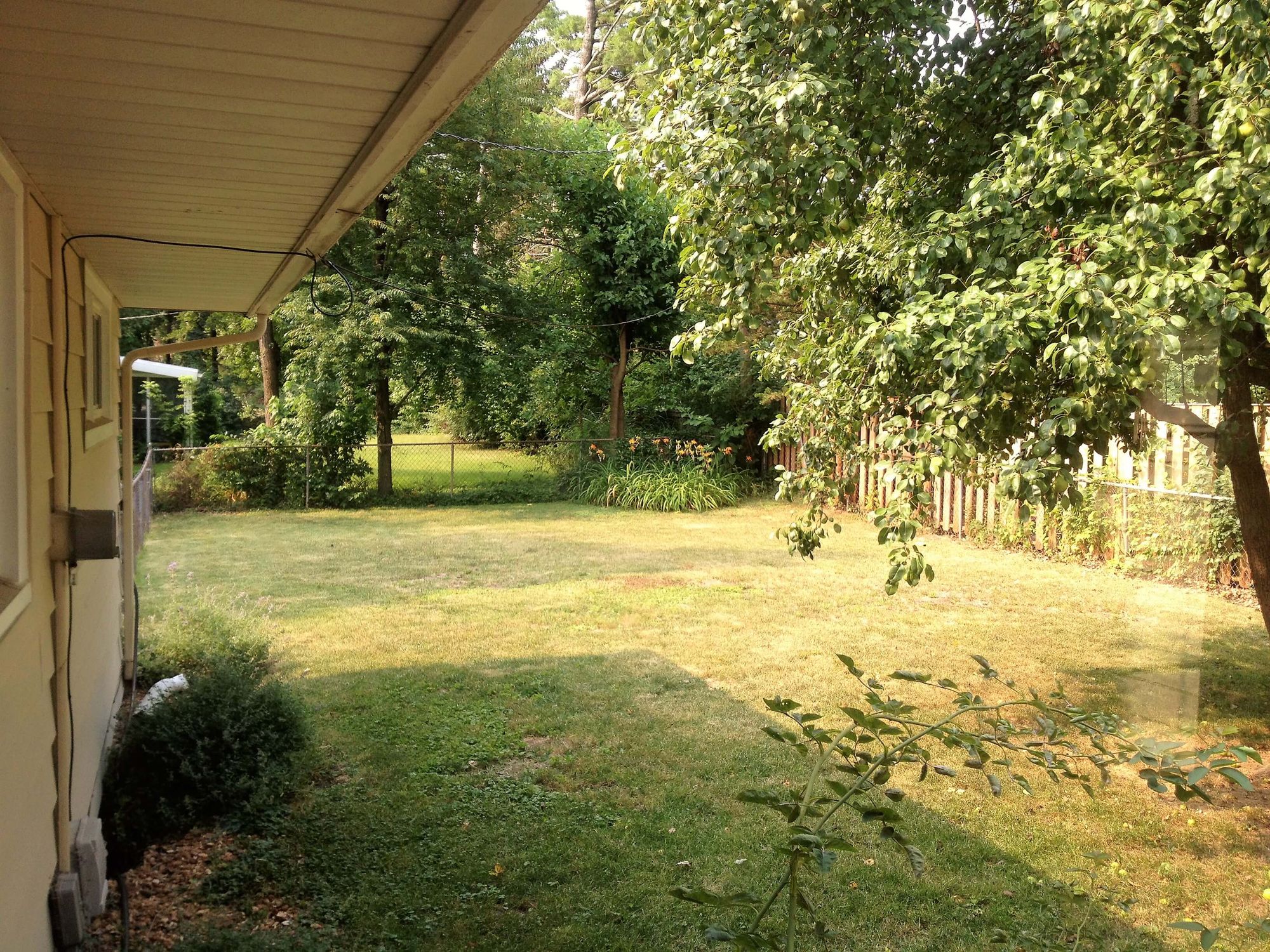 1503-Dawson-Backyard