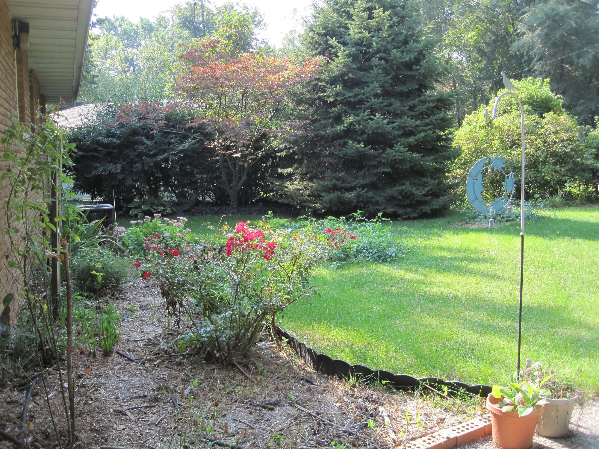1107-Broadmoor-Backyard