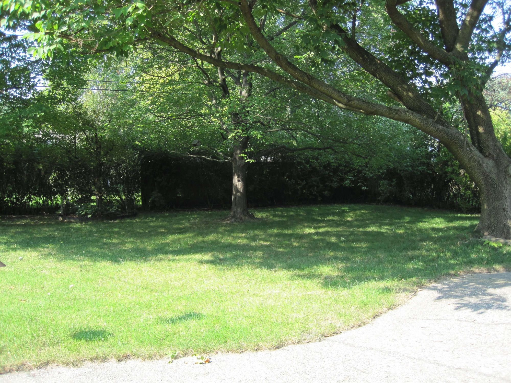 1107-Broadmoor-Backyard-Patio
