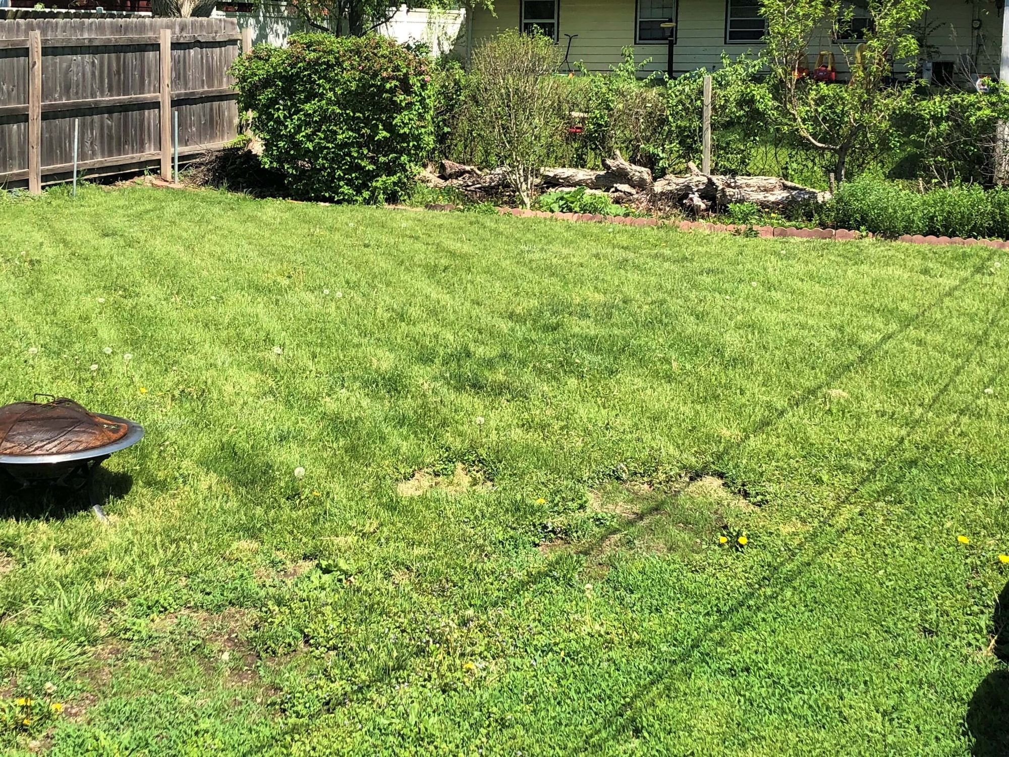 606-Richards-Backyard