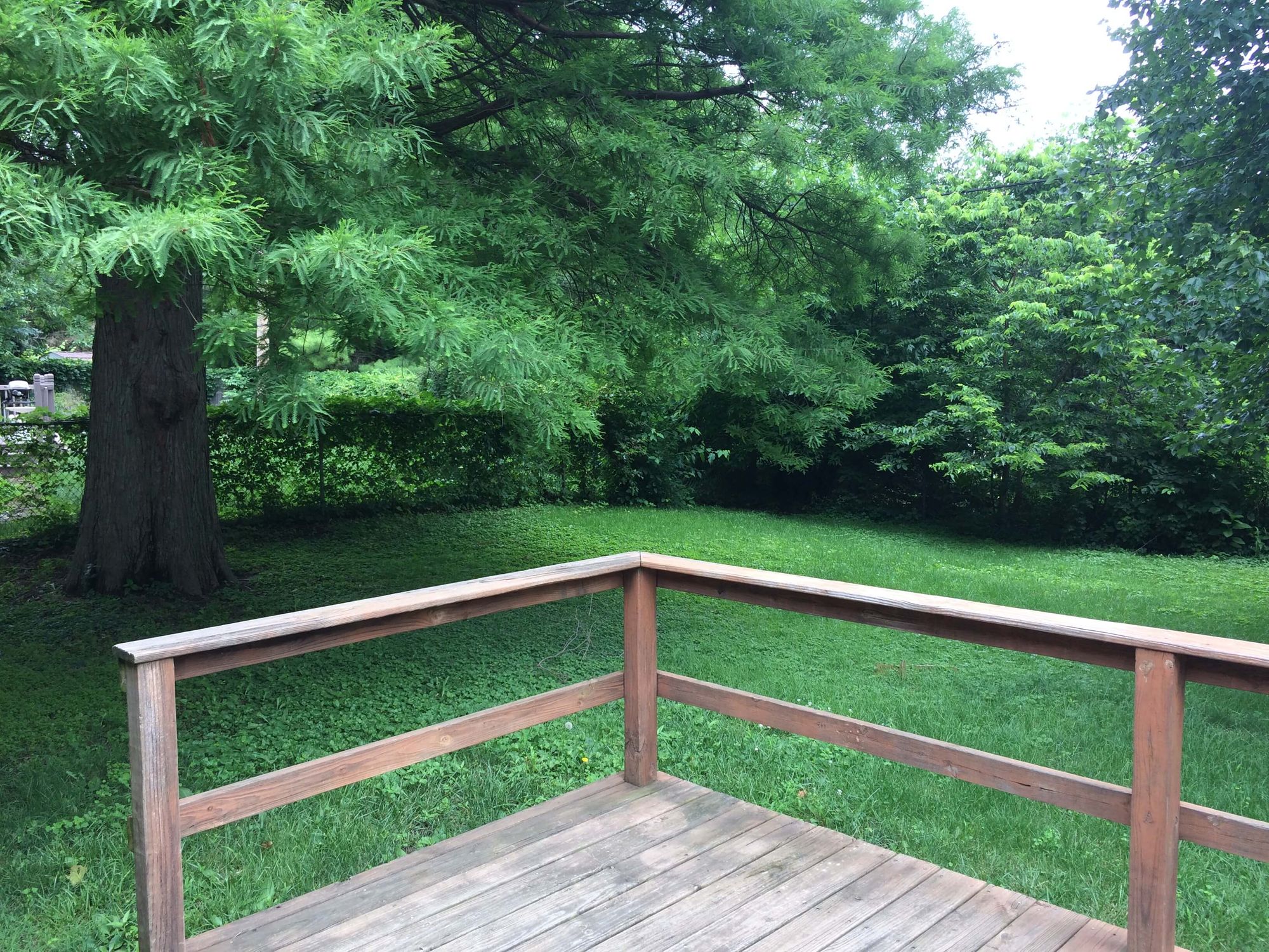 1728-Park-Haven-Backyard