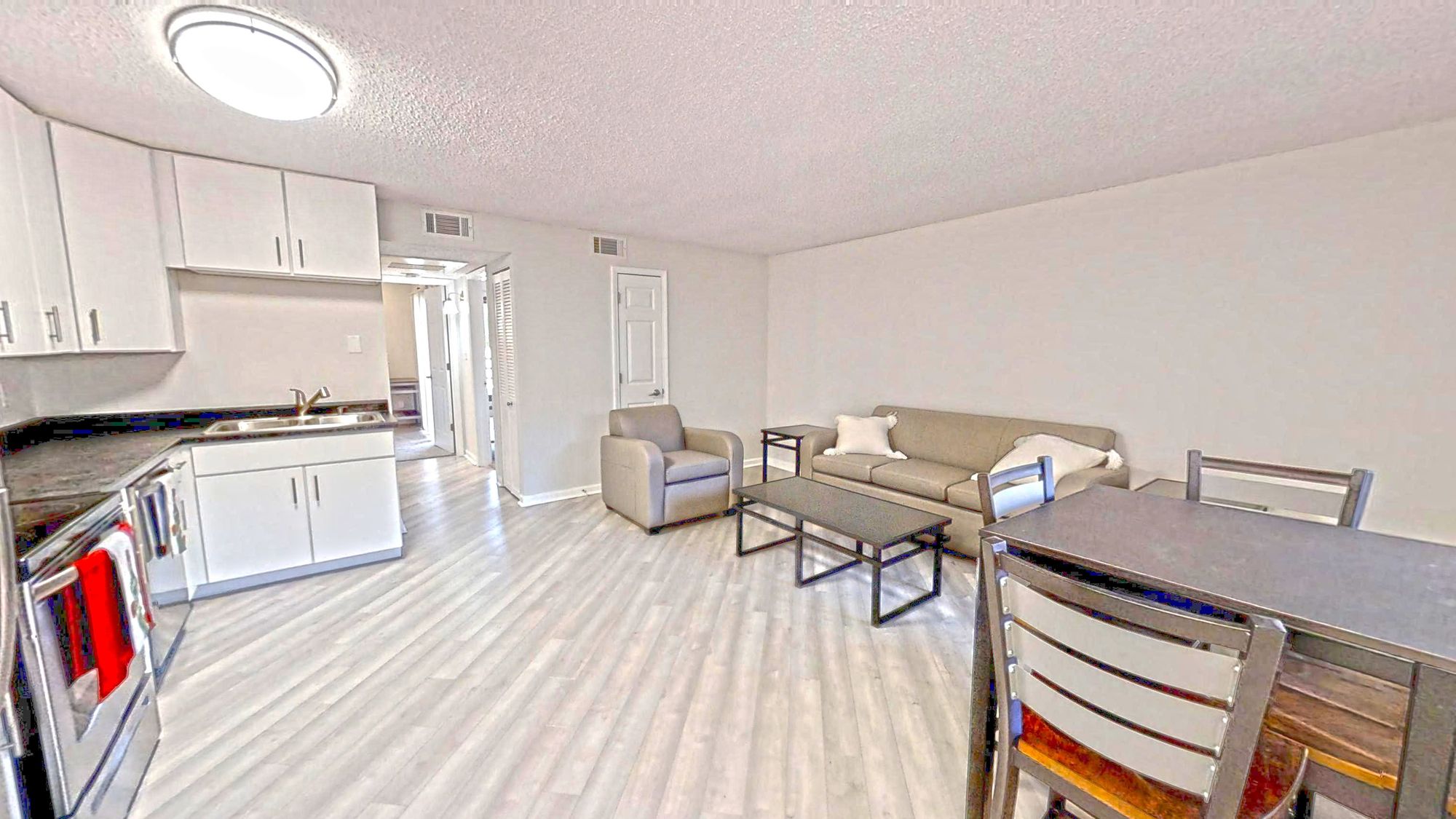 Living and Kitchen 1