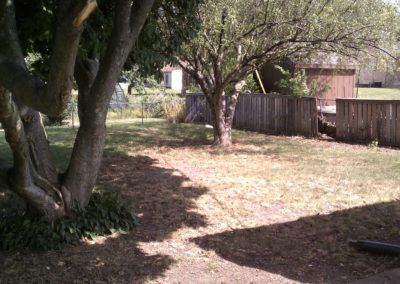 304-S.-Mattis-Backyard-400x284
