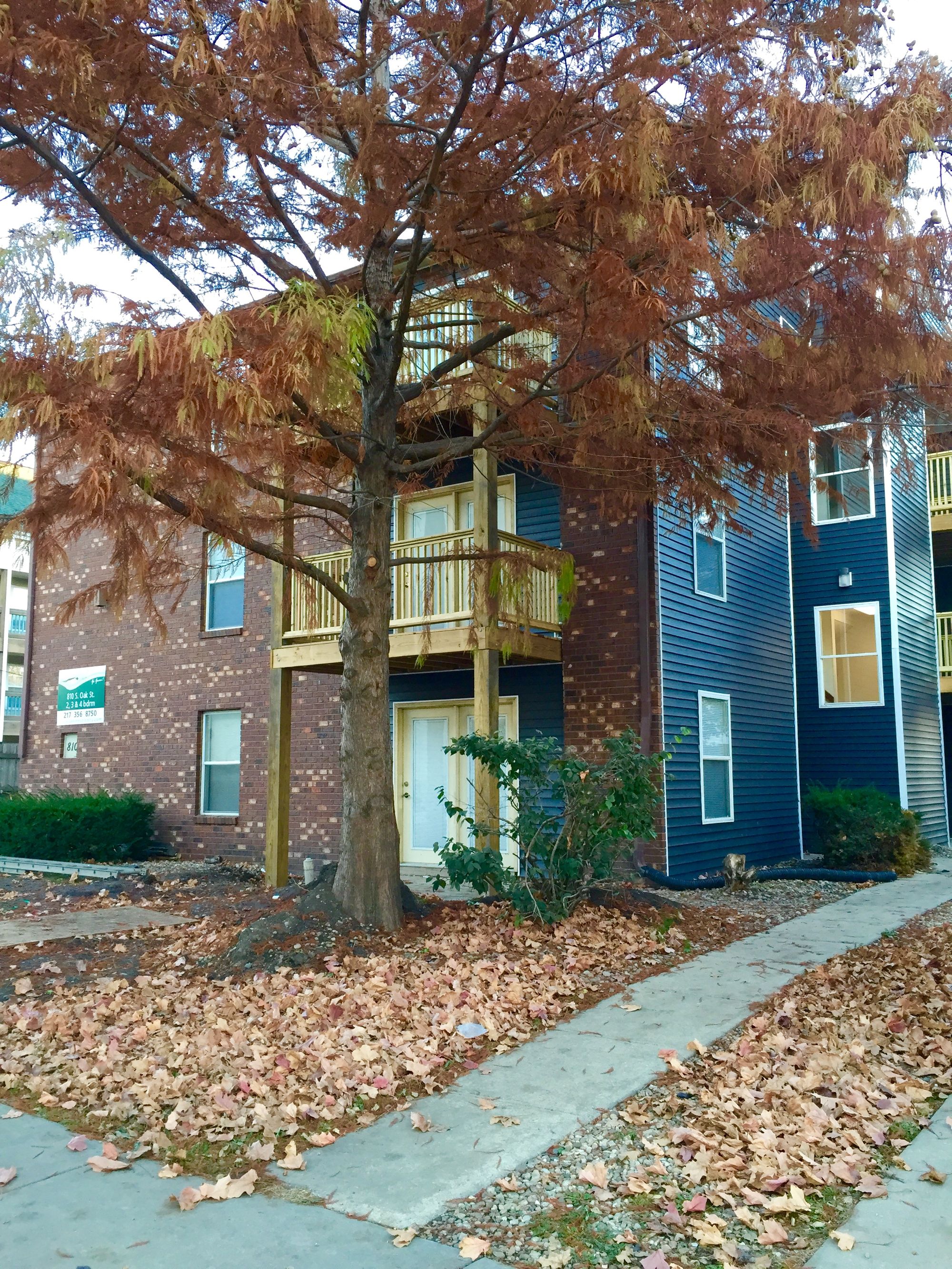 810-s-oak-street-champaign-4-bdr-profile