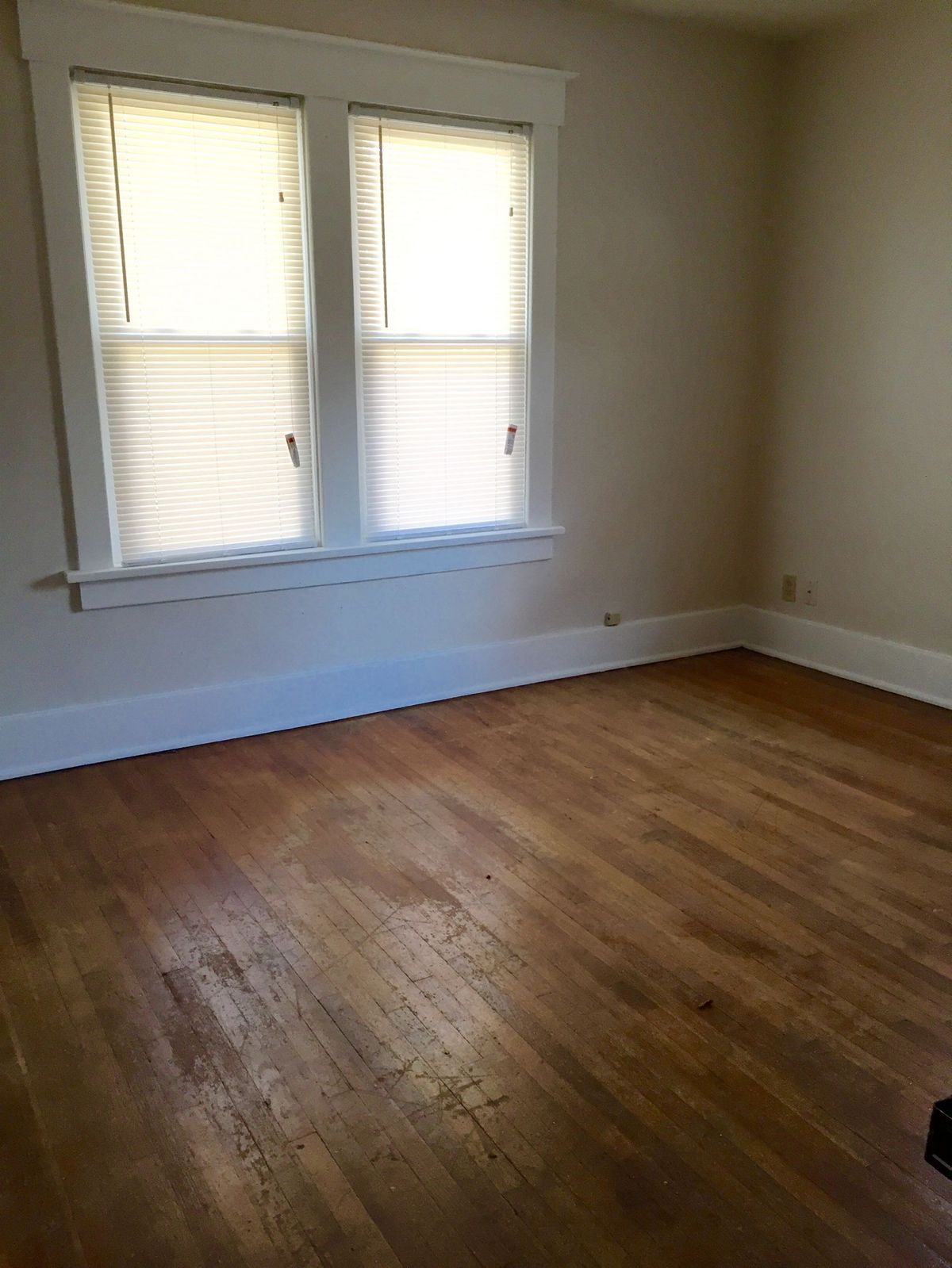 605-south-elm-champaign-il-61820-5-bdr-22